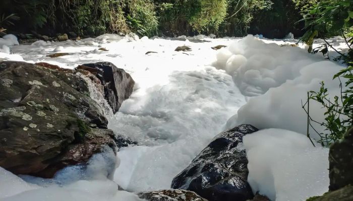 Joinville decreta emergência após vazamento de ácido sulfônico